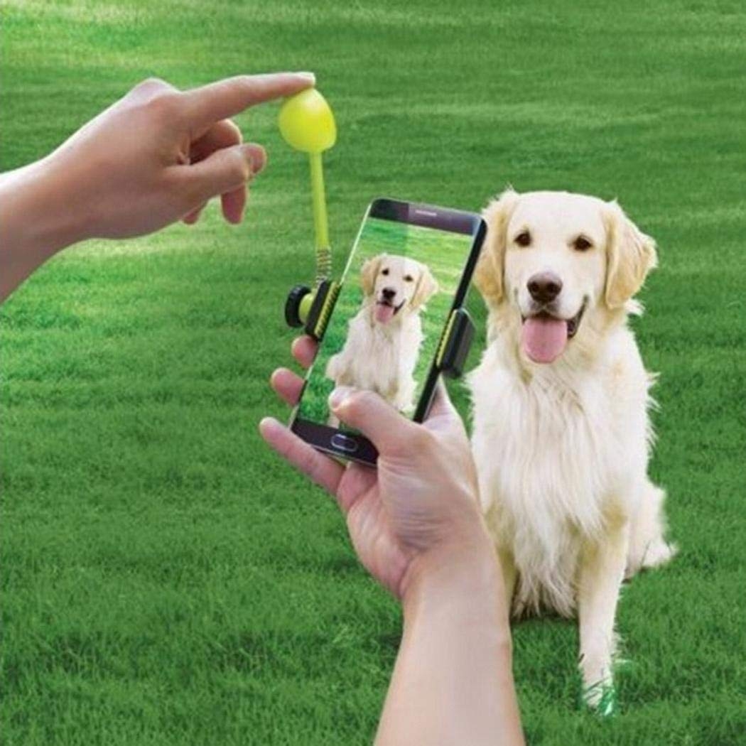Picture Perfect Dog Treat Launcher
