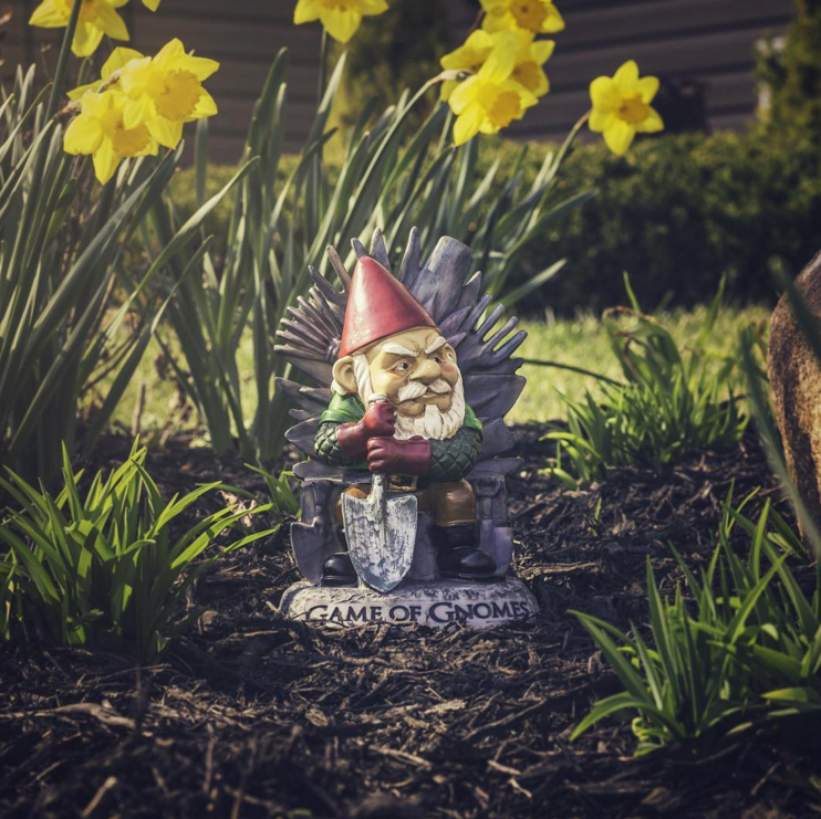 Game of Gnomes