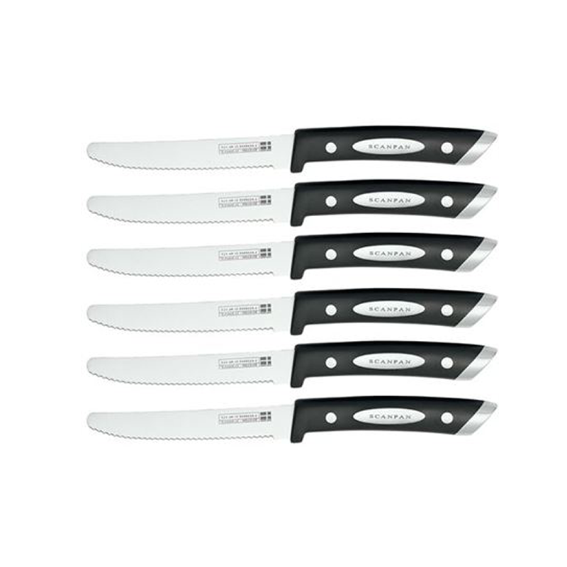 Classic 6 Piece Steak Knife Set