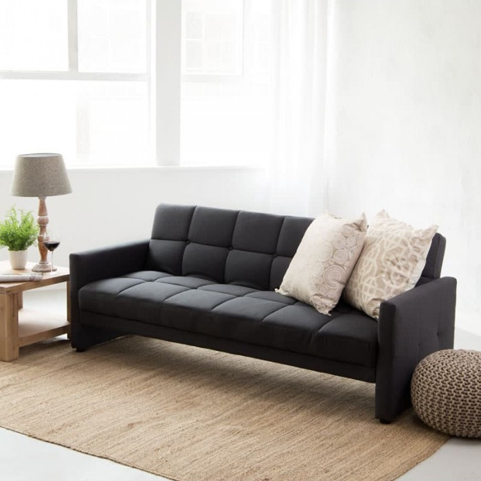 Sleeper Couch