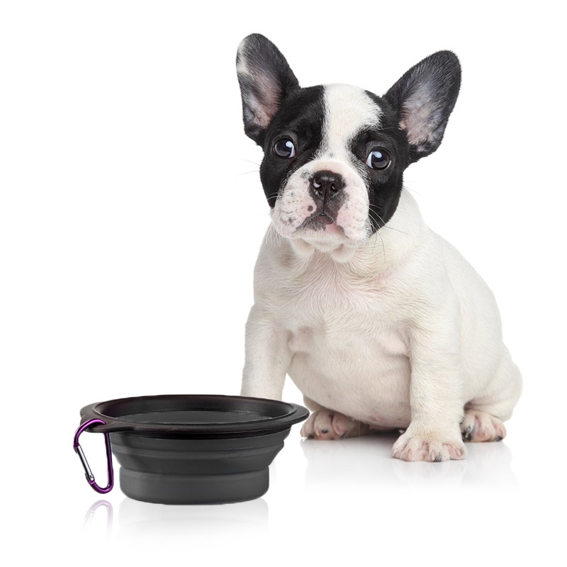 Collapsible Portable Dog Bowl