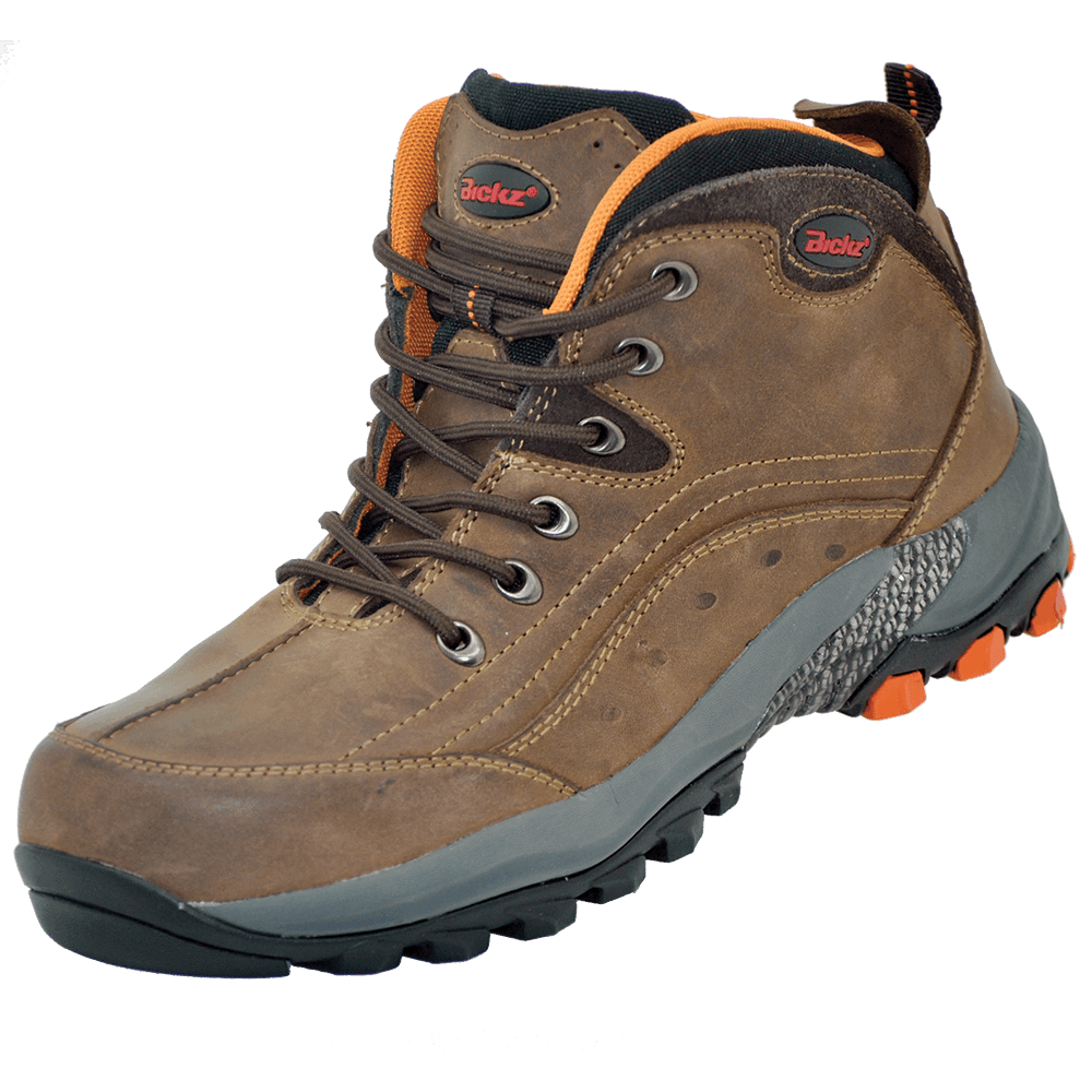 Men's Bickz 753 Brown Full Grain Leather Boots