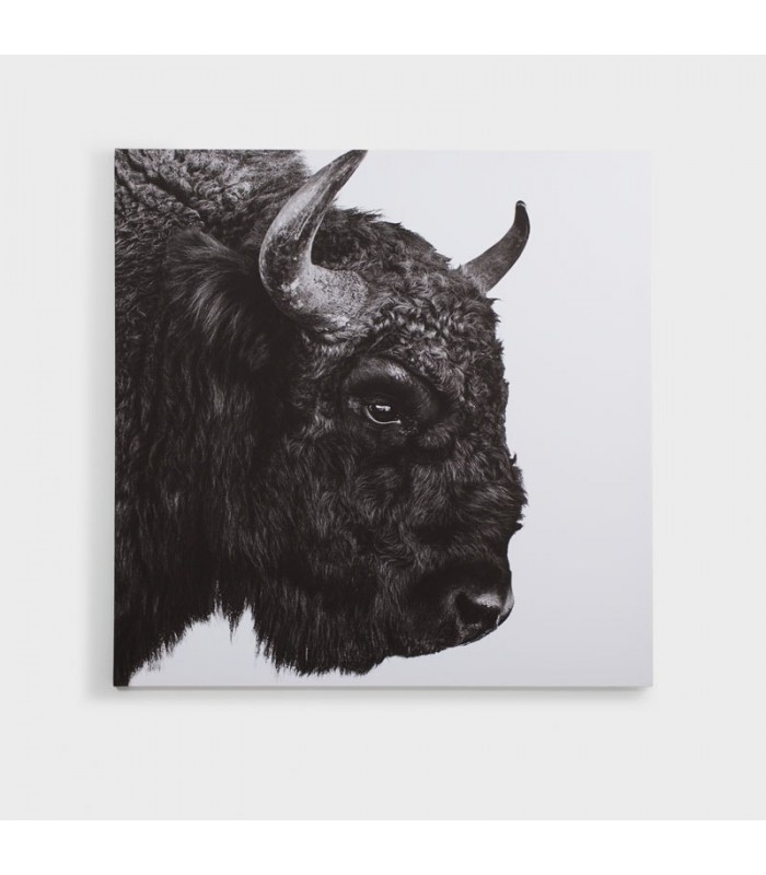 European Bison