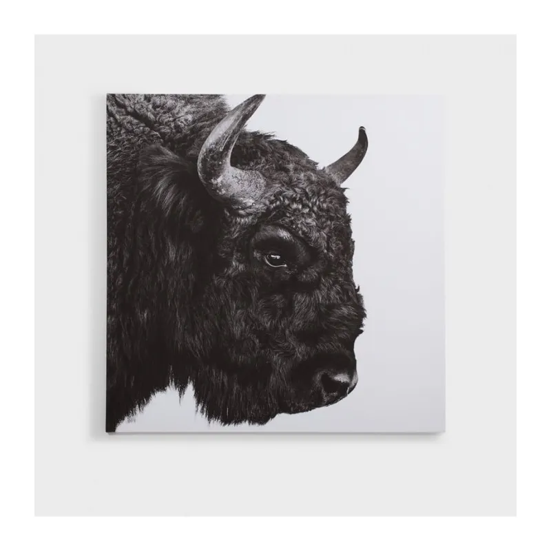 European Bison