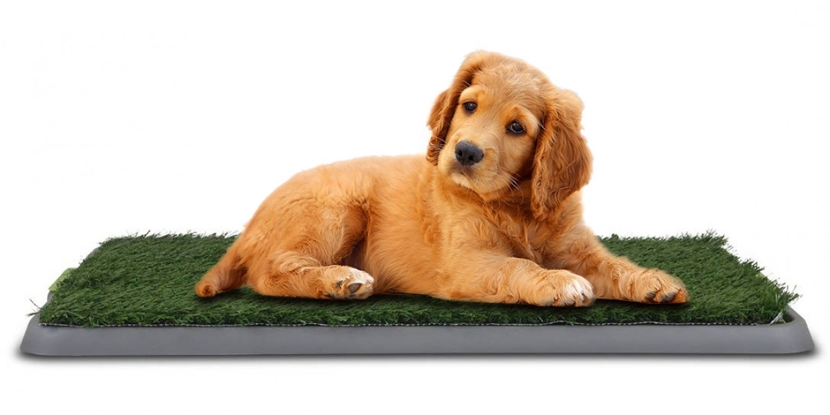 40 x 50cm Pet Potty Patches