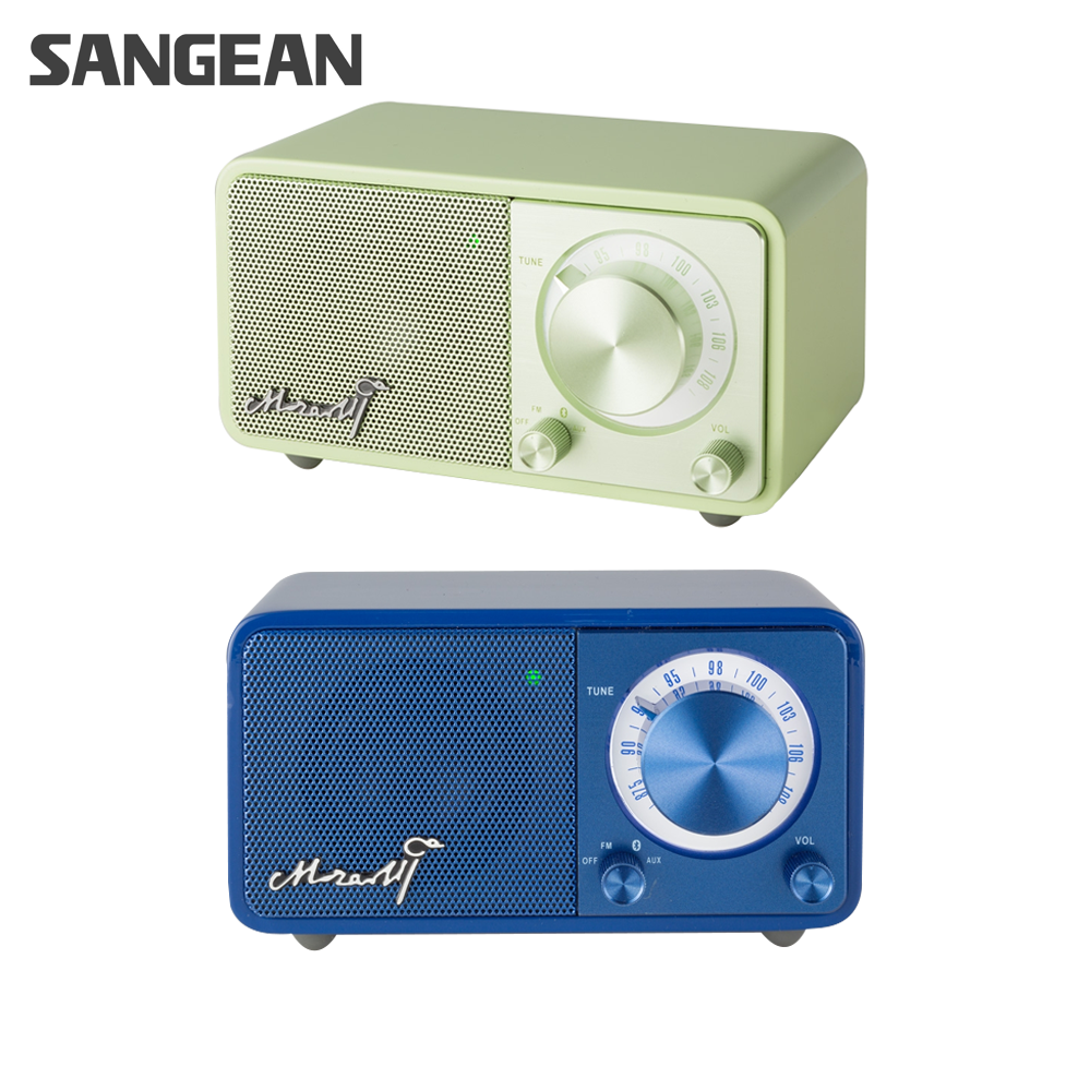 Bluetooth Speaker with Radio