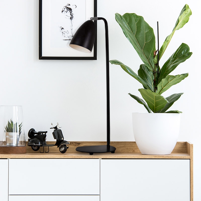 For lifestyle purposes only (Black)