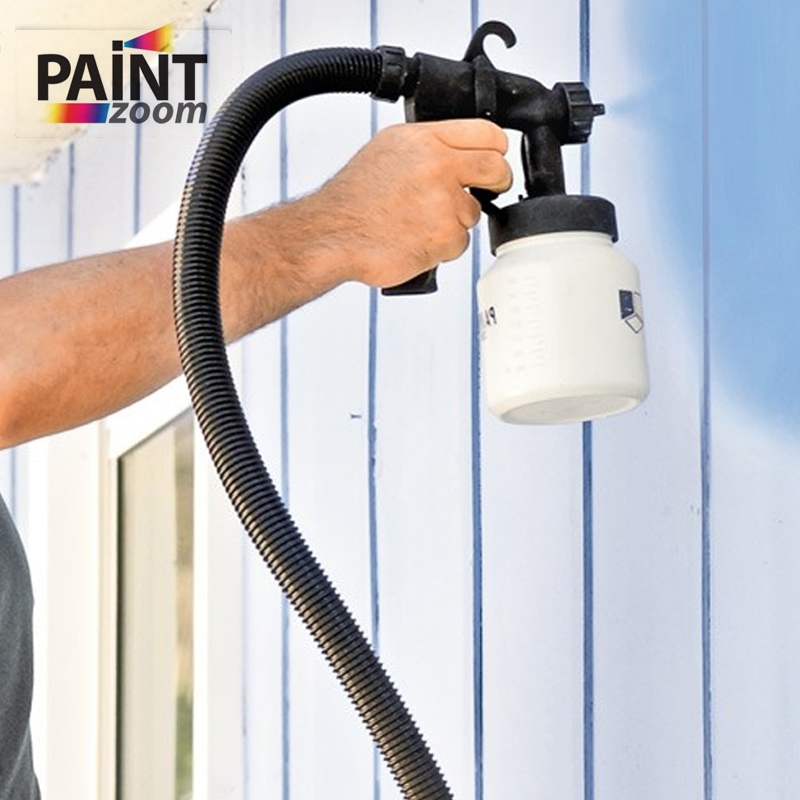 Professional Power Paint Sprayer