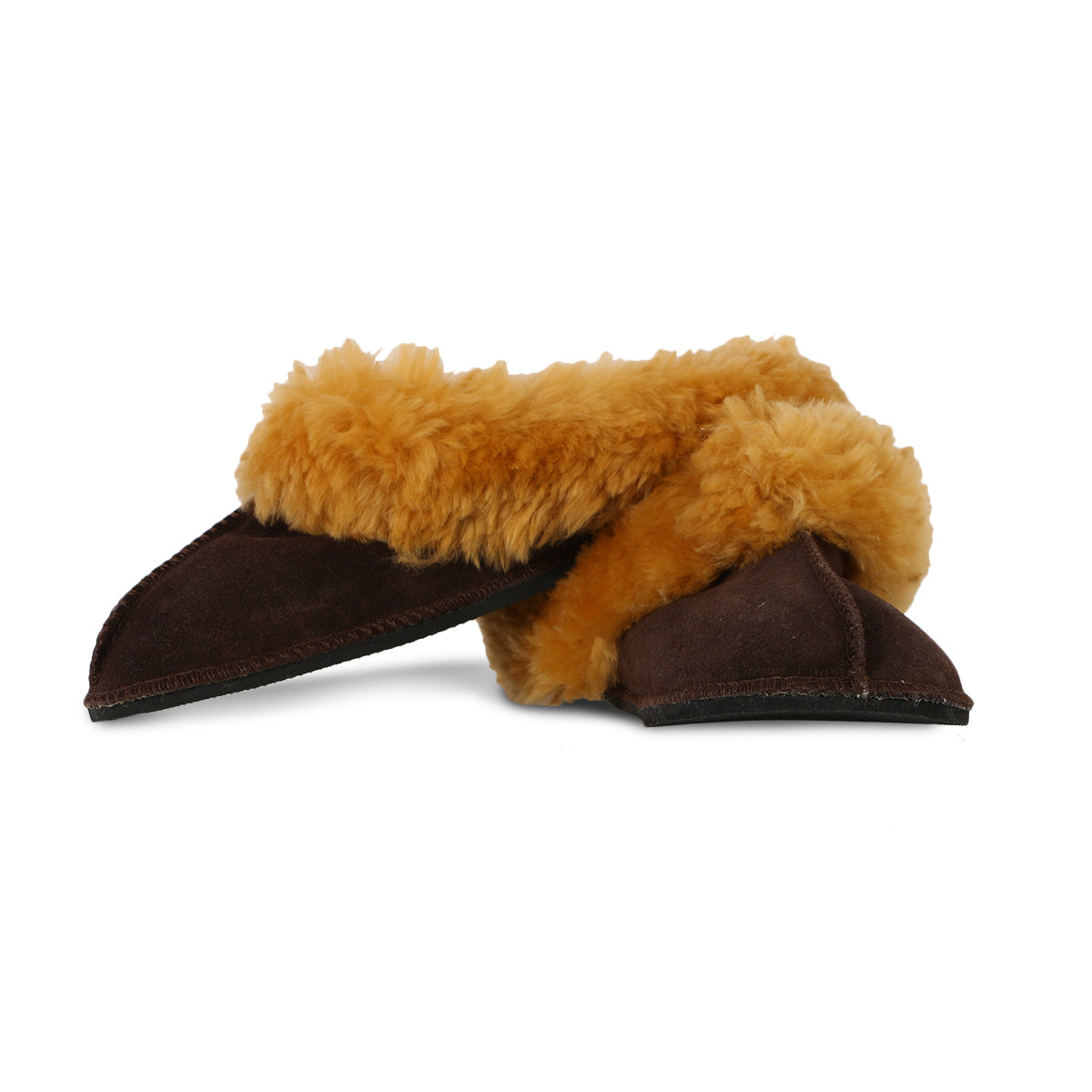 Chocolate Brown