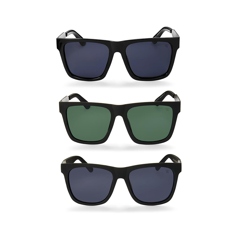 Polarized Dylan Sunglasses