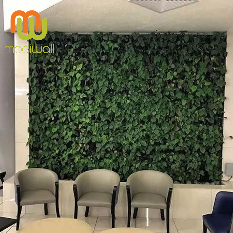 Classic Vertical Wall Garden with Built-in Irrigation(500mmx500mm)