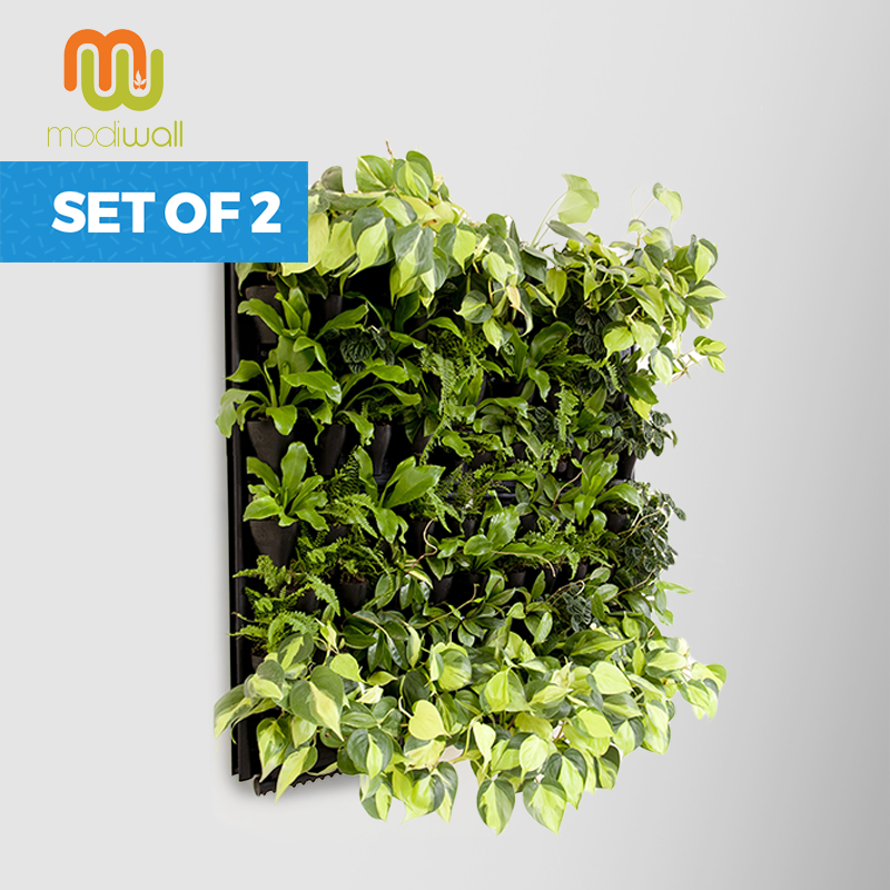 Set of 2 - Basic Vertical Wall Gardens