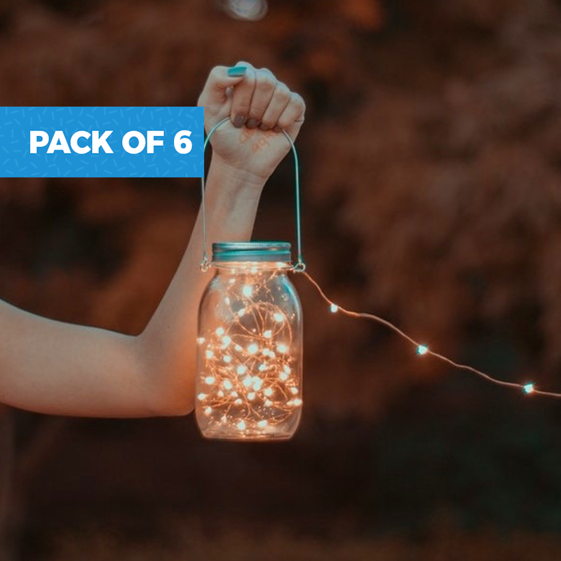 Pack of 6 Warm White Battery Powered Fairy Lights