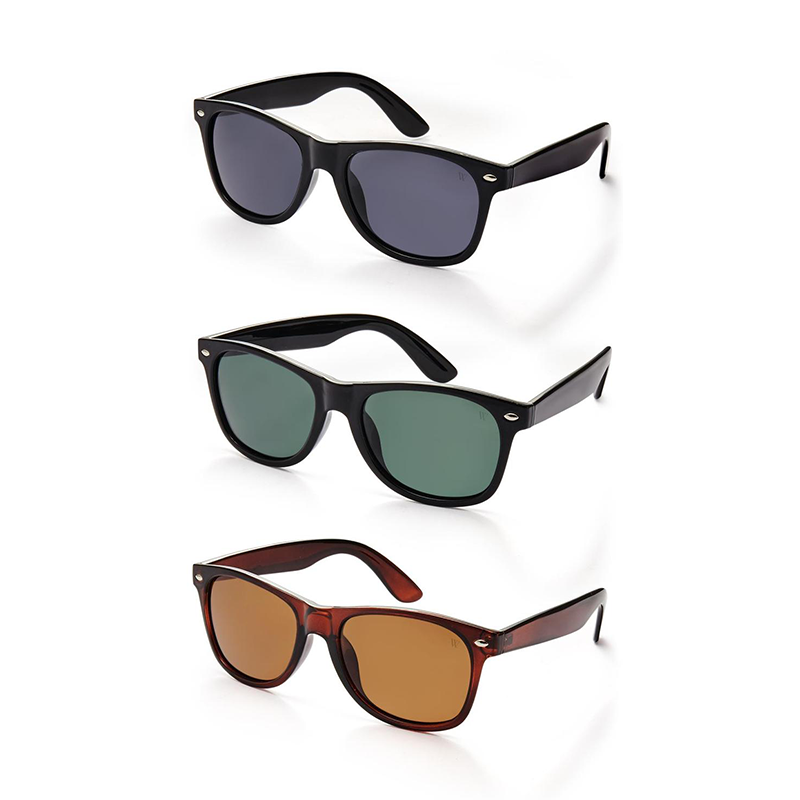 Polarized Phoenix Sunglasses