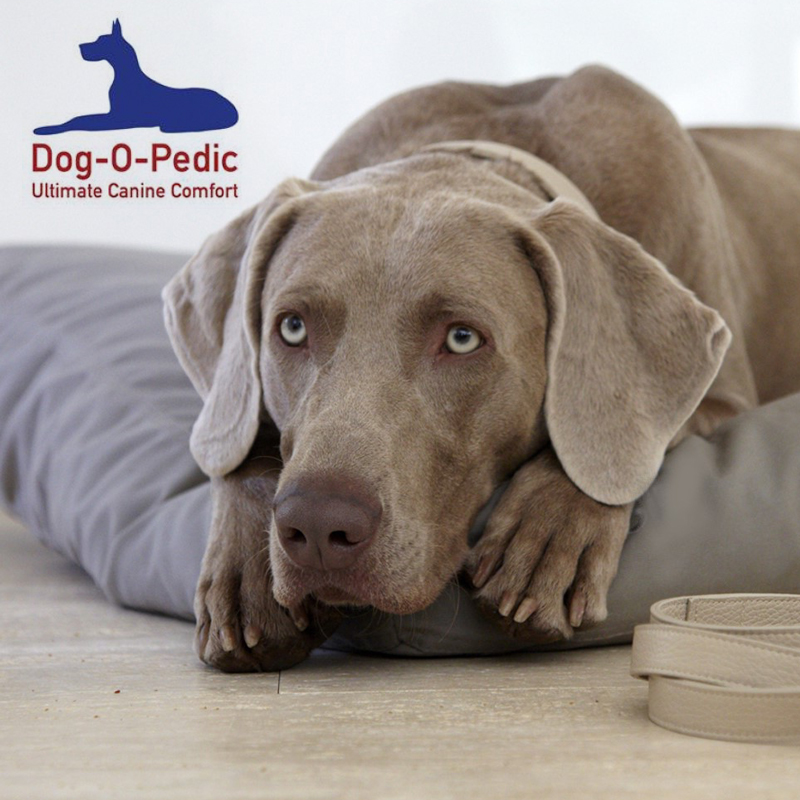 Suede 88 x 60 cm Dog Pillow