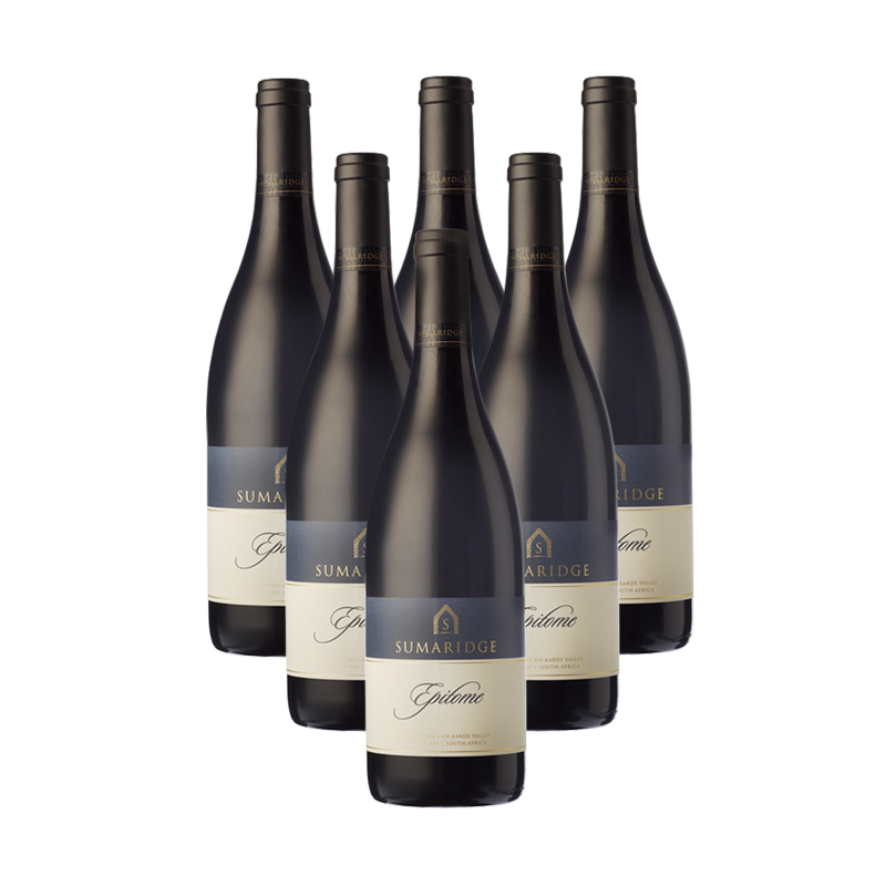 Case of Epitome Shiraz, Pinotage 2011 (R166.50 per Bottle, 6 Bottles)