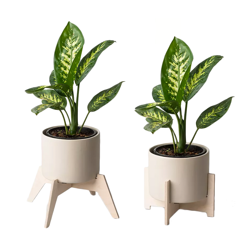 Cango or Bloukrans Plant Holders with Ceramic Pots