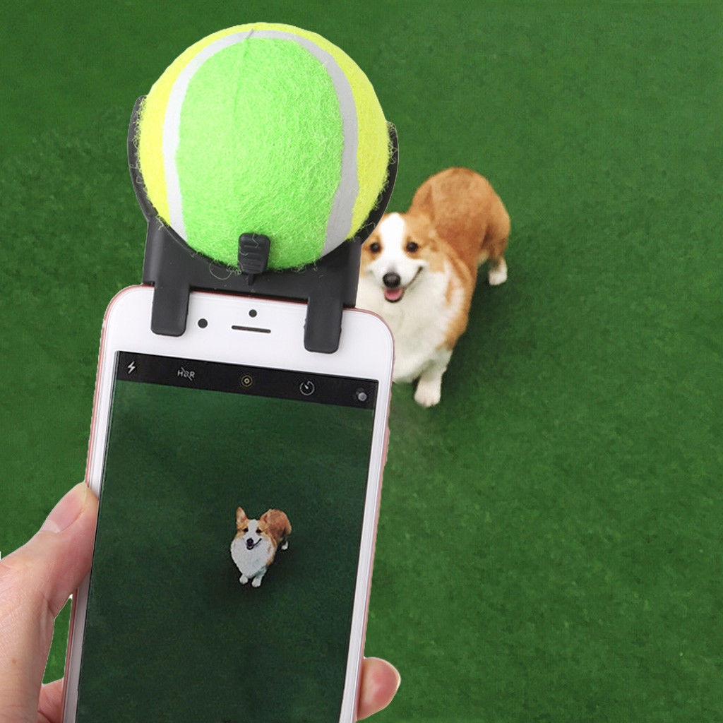 Dog Selfie Toy for Smartphones