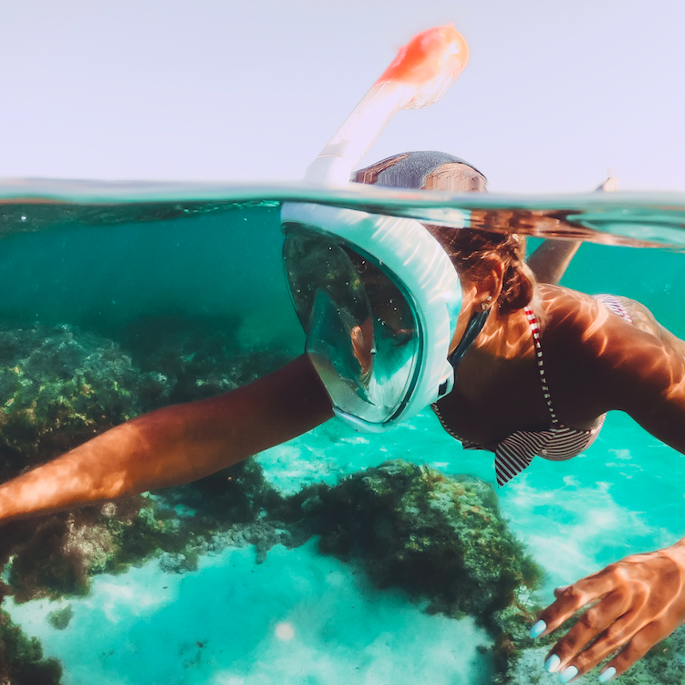 Full Face Diving Mask with Snorkel and Action Camera Mount