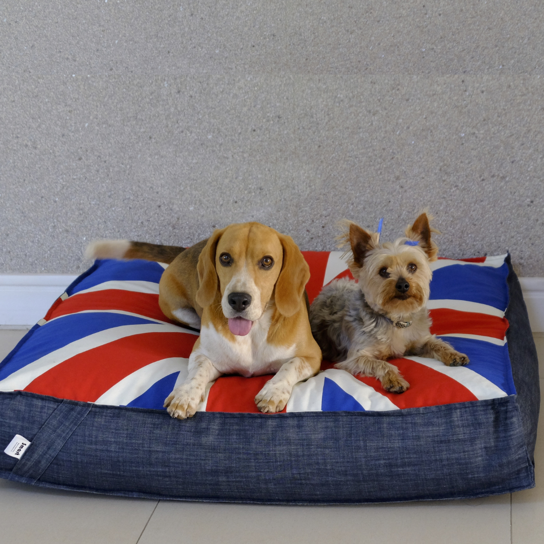 Waterproof Union Jack Pet Beds with Removable Cover