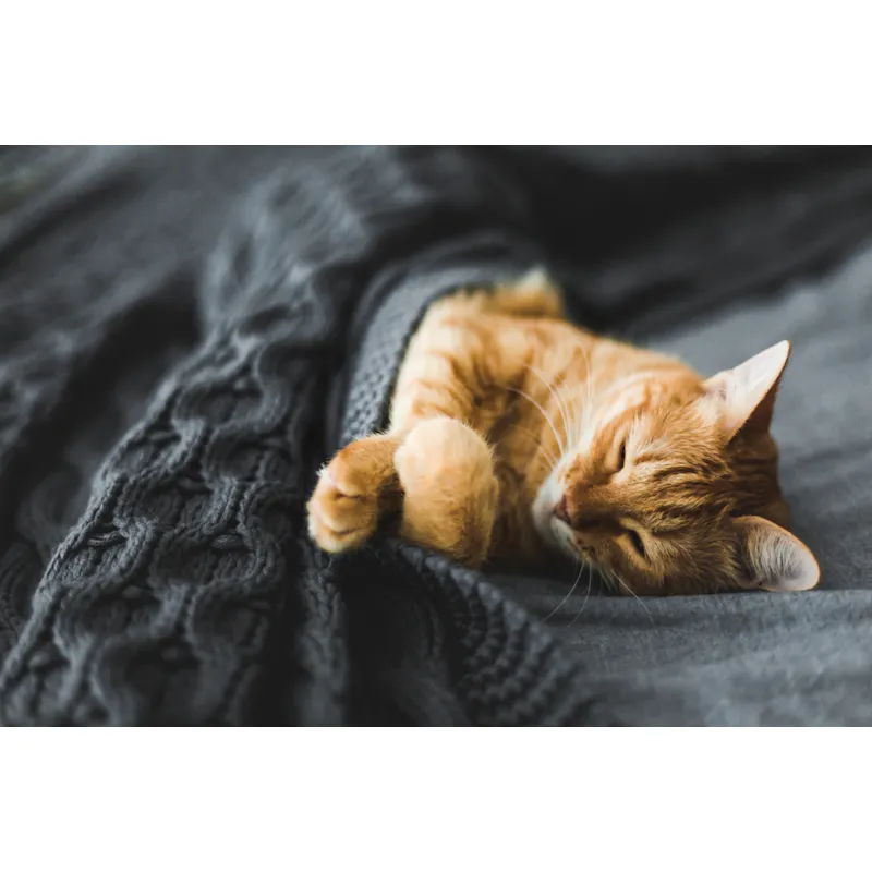 Lifestyle only - Image by Shutterstock