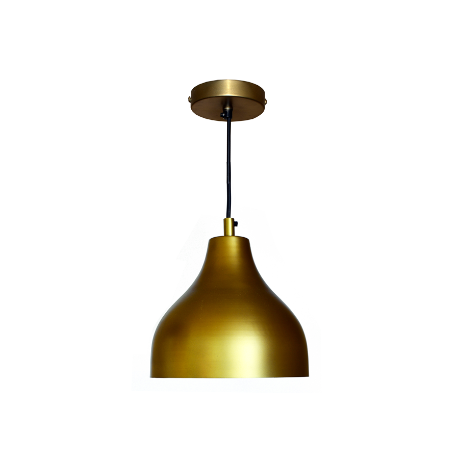 Hanging Metallic Ceiling Light