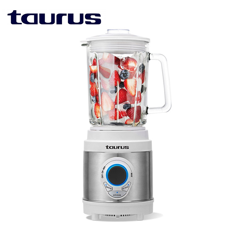 850W Liquadora Potent Jug Blender